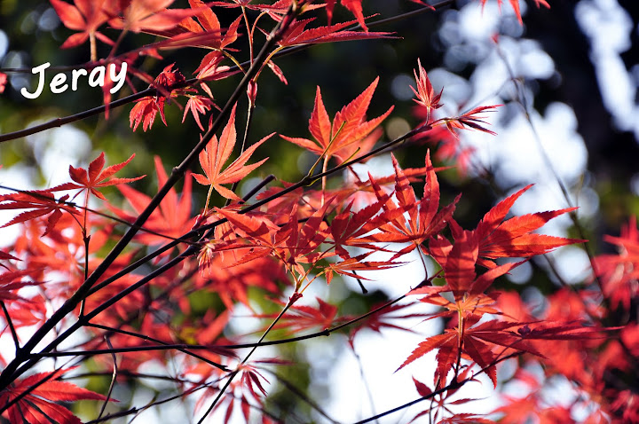 苏州天平山一踏