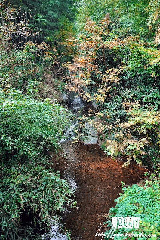 常州南山天目湖游玩