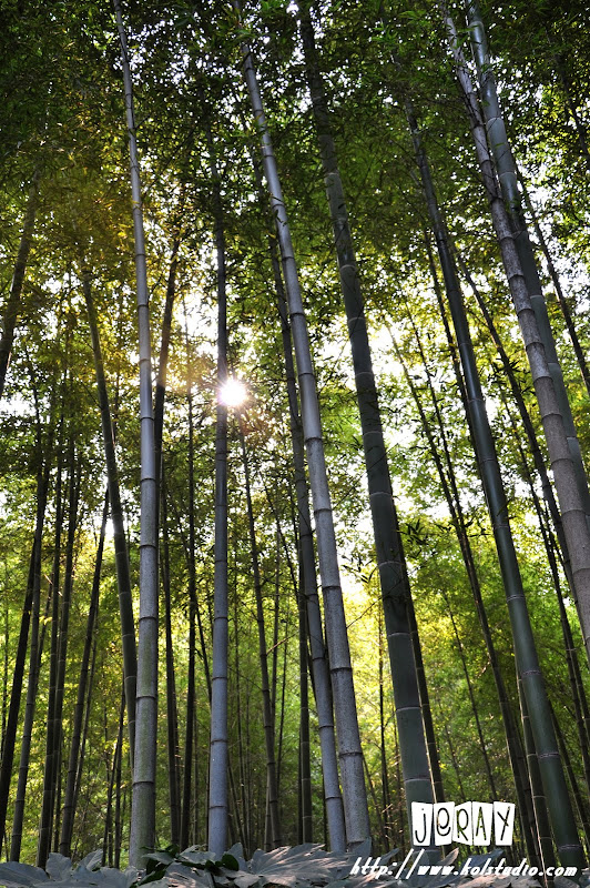 常州南山天目湖游玩