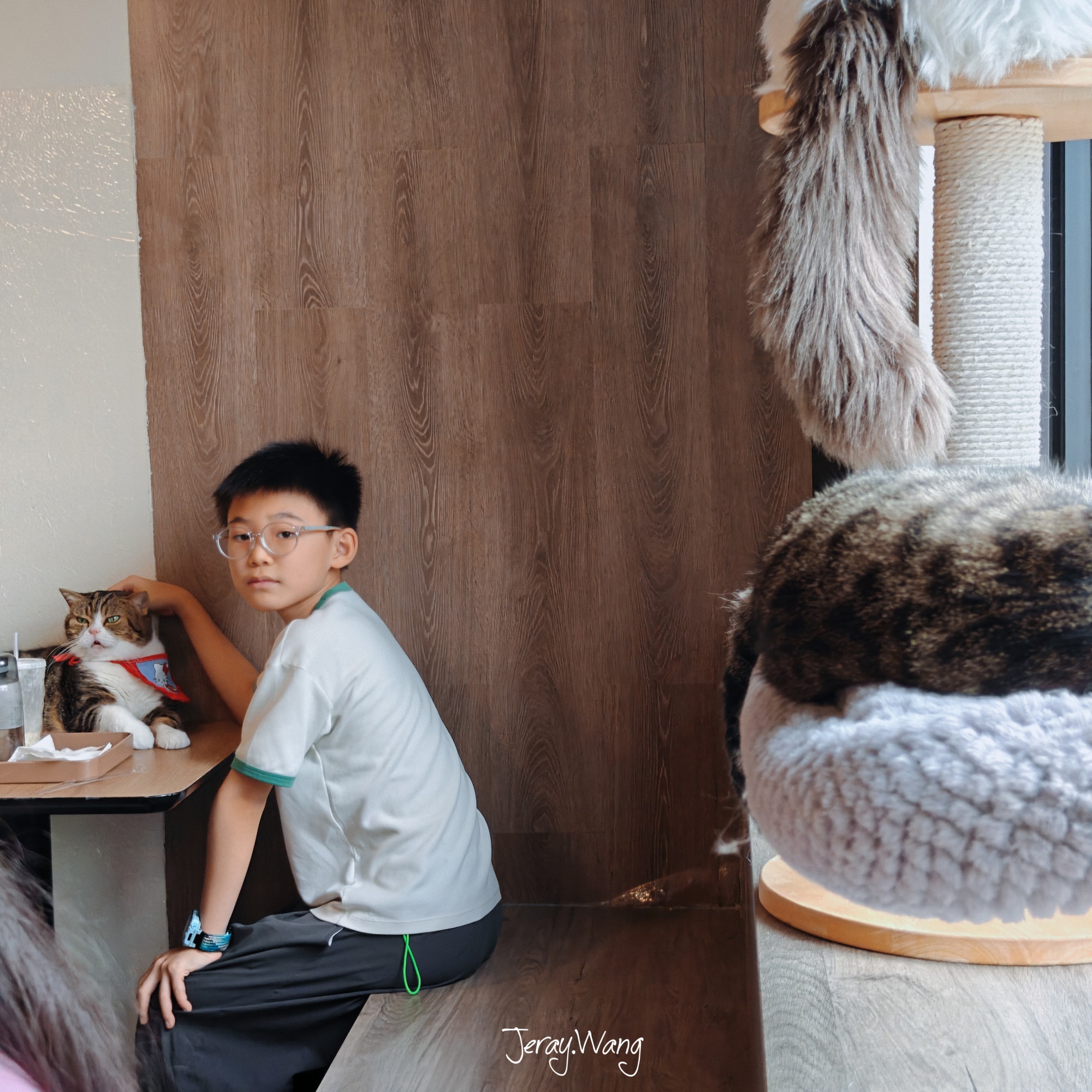带娃再逛撸猫馆